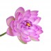 Artificial Fake Flower Lotus Water Lily with Rod Plants Garden Pond Vase Decor   253128036593